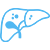 Triple Phase CT Scan Liver